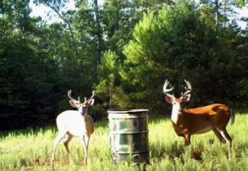 Cumulatively, hunters spending more than 9. . Hunting leases in harris county ga